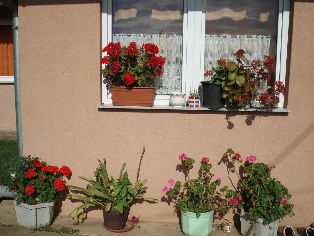 Rooms Marica Seliste Dreznicko Exterior photo